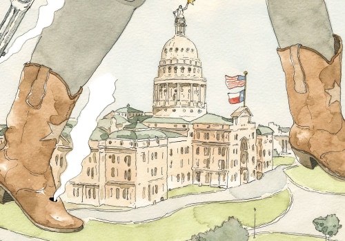 Improving Mental Health Services in Southeast Texas: What Political Candidates are Proposing